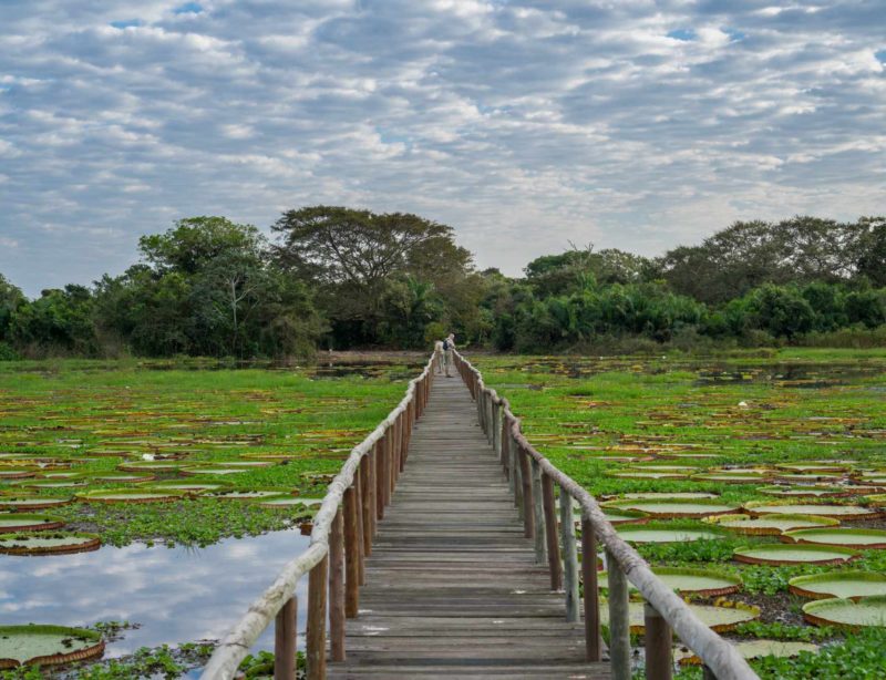 Luxus-Rundreise-Brasilien-Pantanal-9