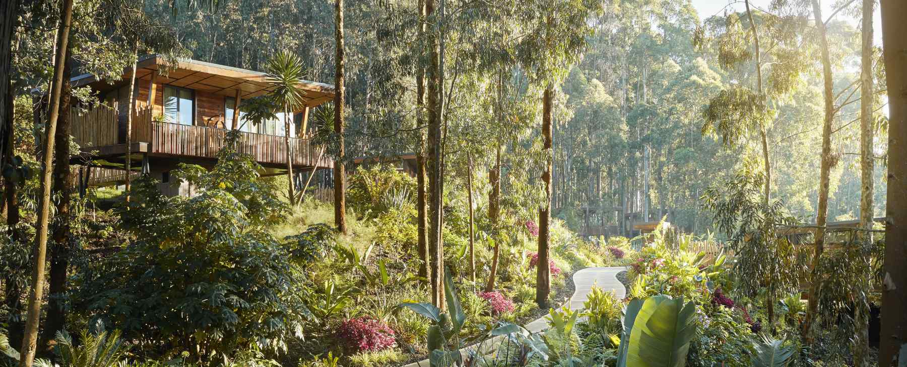 Luxushotel Lodge Ruanda One&Only Gorilla´s Nest