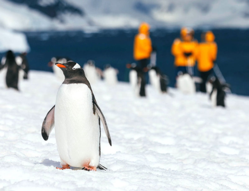 Luxusexpedition Antarktis Quark Expeditions Ultramarine 3