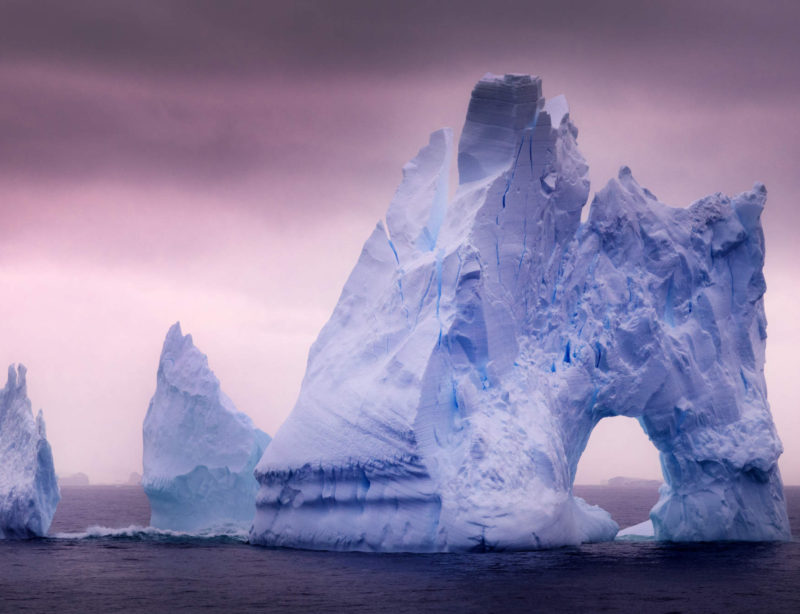 Luxusexpeditionsreise Antarktis Falklandinseln 18