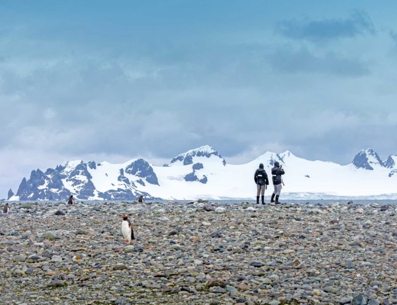 Luxusexpeditionsreise Antarktis Falklandinseln 26