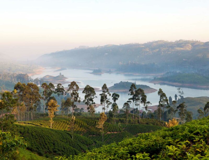 Luxusreise Sri Lanka Ceylon Tea Trails