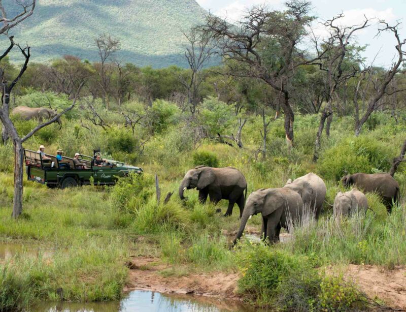 Luxusreise Südafrika Marataba Safari Lodge