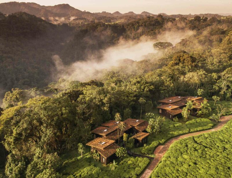 Luxusreise Safari Ruanda One&Only Nyungwe House