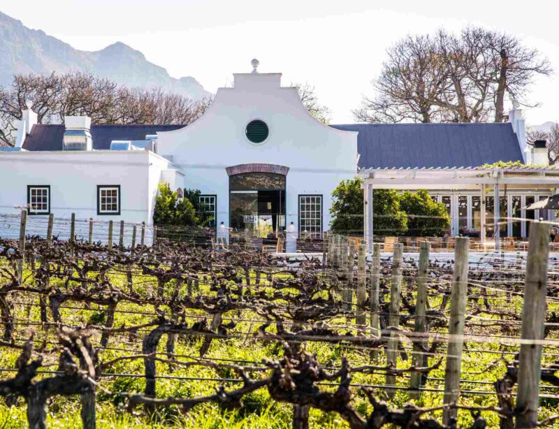 Luxusreise Südafrika Weinregion Steenberg Hotel & Spa