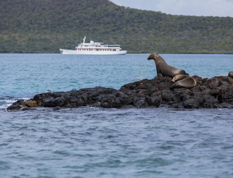 Luxuskreuzfahrt Galapagos Grace Yacht Route Kachel