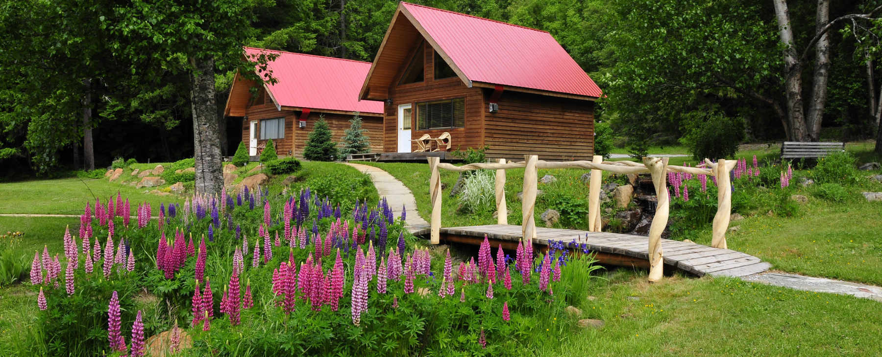 Luxusreisen Kanada Tweedsmuir Park Lodge