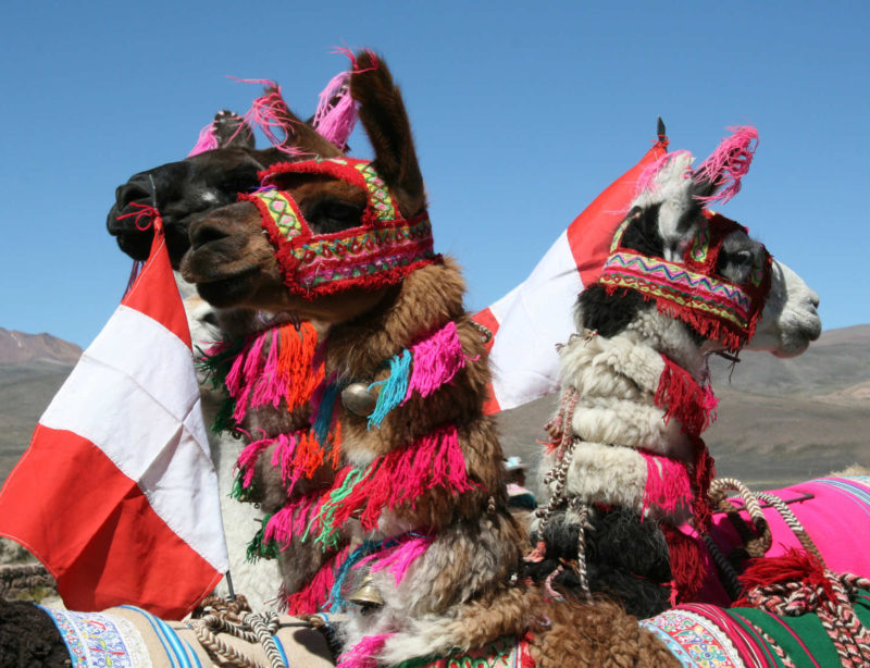 Luxuszugreisen Peru Belmond Andean Explorer 1