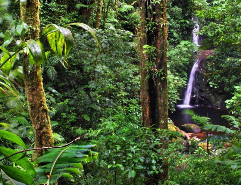 Luxusrundreise Costa Rica Naturparadies 10
