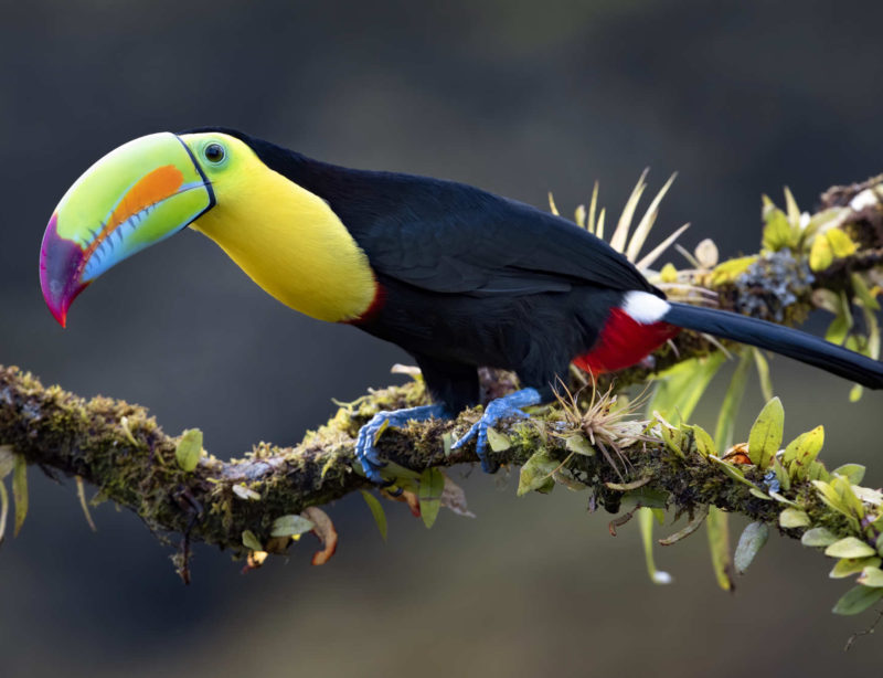 Luxusrundreise Costa Rica Naturparadies 7