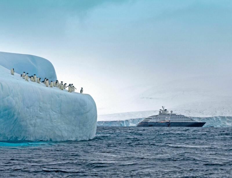Luxusschiff Antarktis Scenic Eclipse 52_NEU